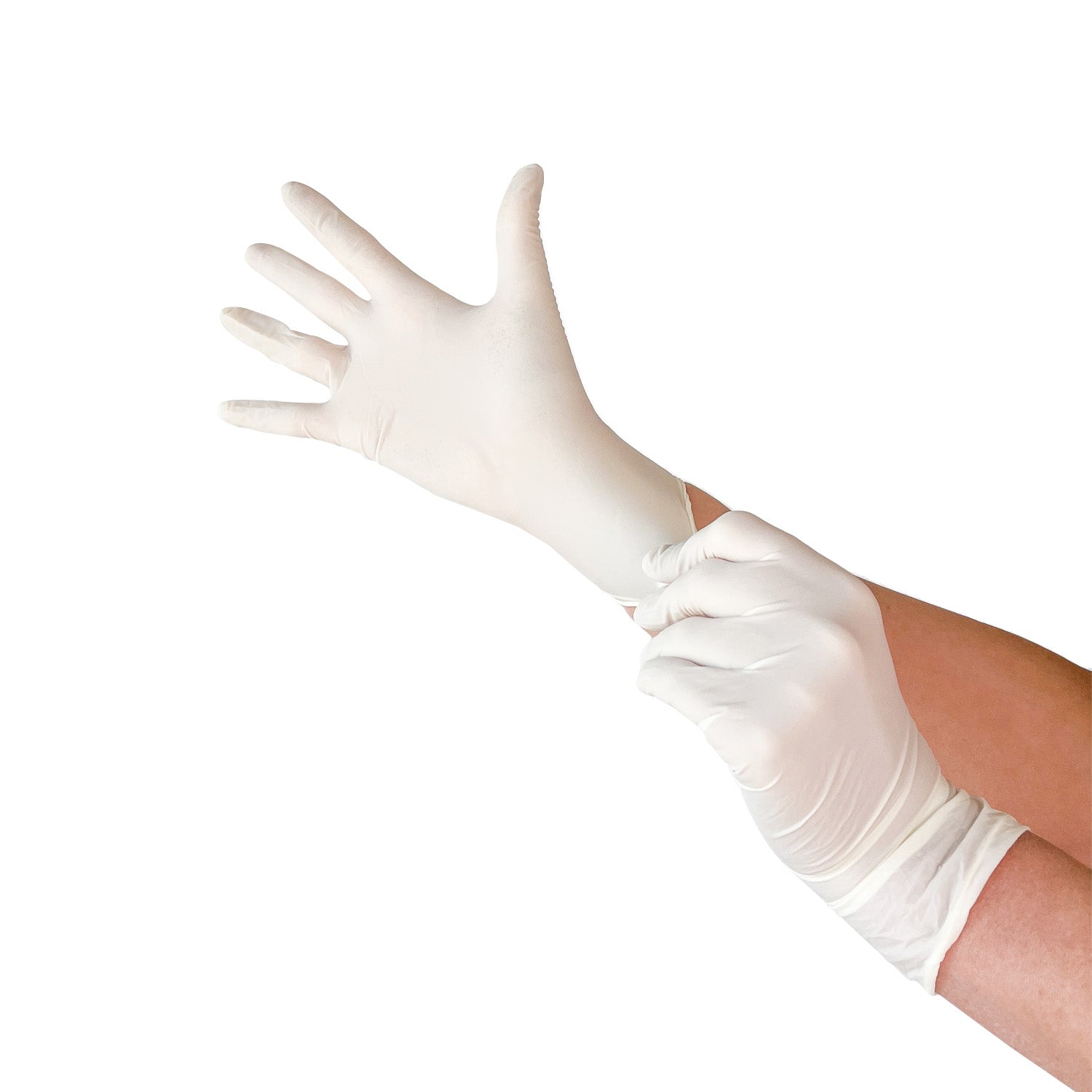 A person’s hands putting on a pair of white latex gloves against a white background.