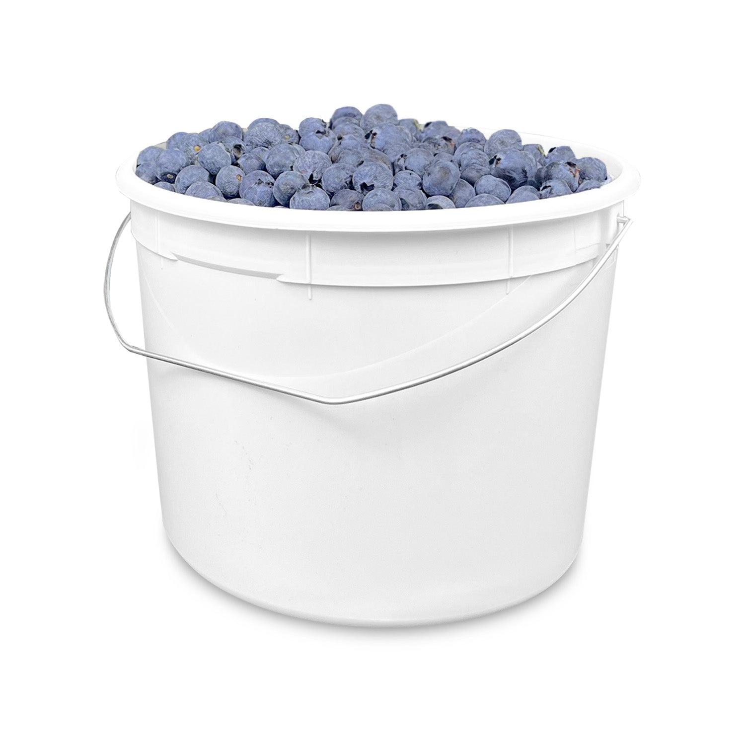 A 1.25 gallon BPA-free food-grade plastic bucket (T809160W) with wire handle, filled to the top with fresh blueberries and shown on a white background. Case of 120.