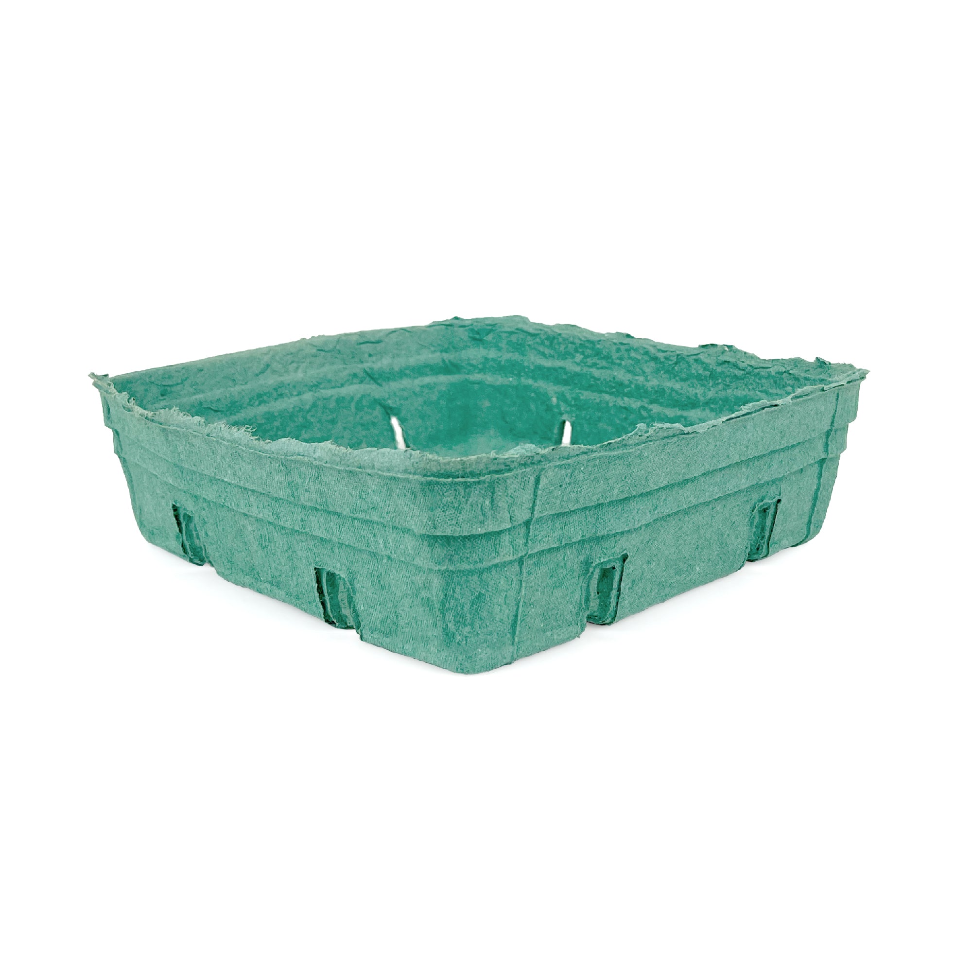 A 2 Quart (64 oz.) green molded pulp berry/produce basket with a slightly rough edge, square shape, shown against a white background. Sold as a case of 200.