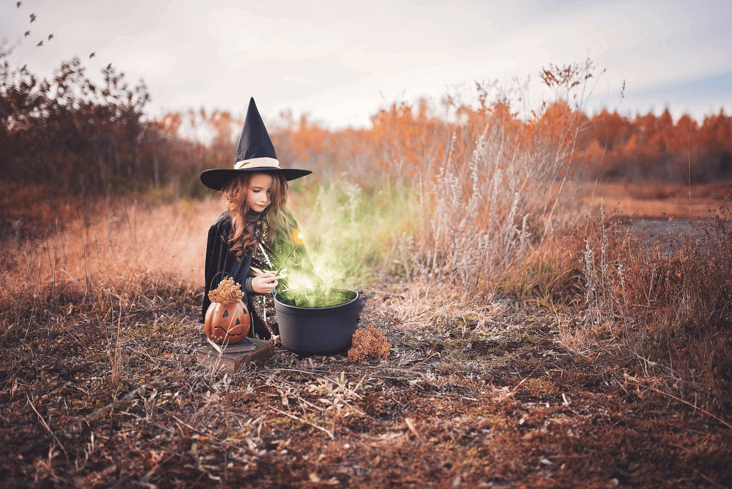 DIY Holiday Decorations Using 5 Gallon Buckets: Halloween to Christmas