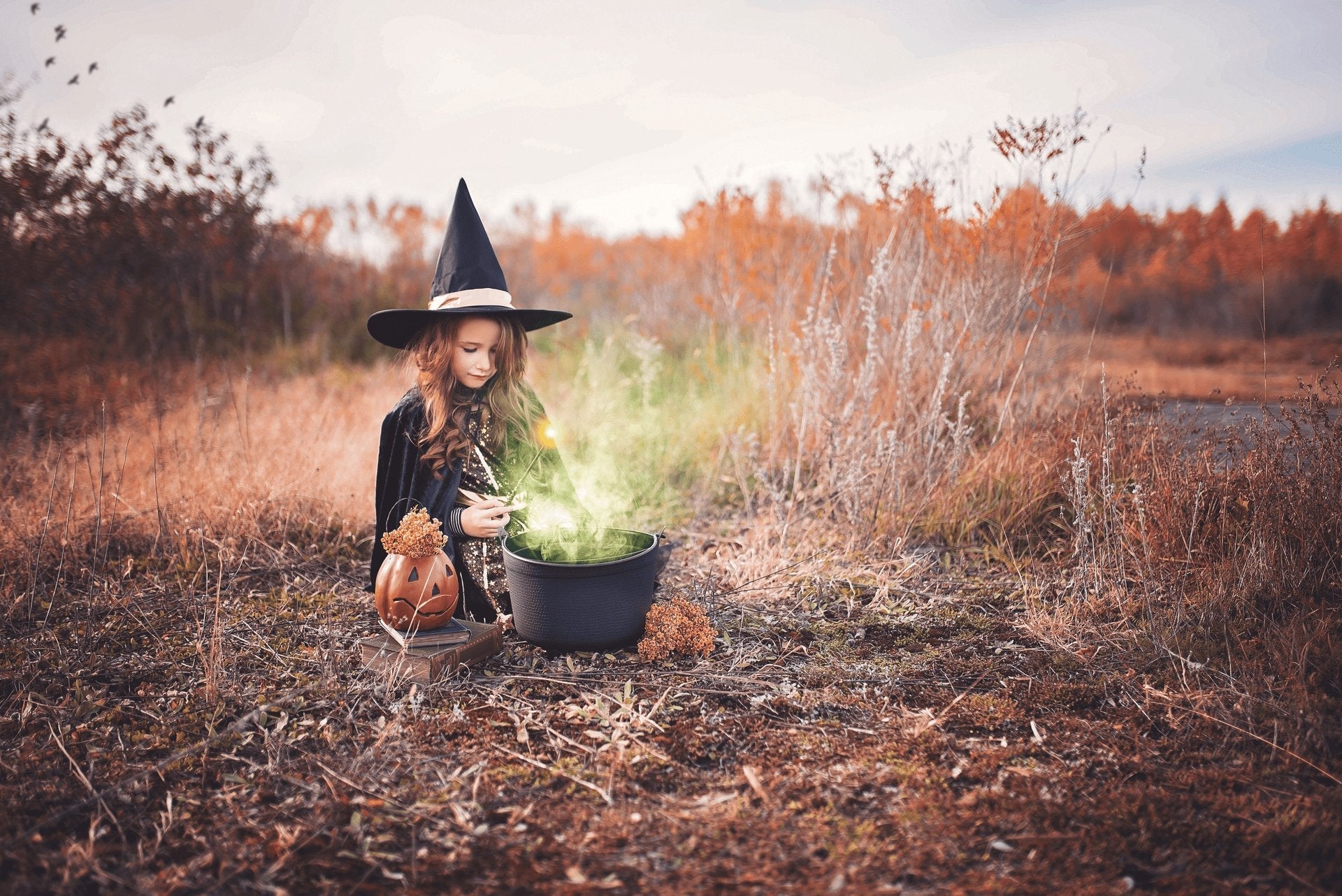 DIY Holiday Decorations Using 5 Gallon Buckets: Halloween to Christmas