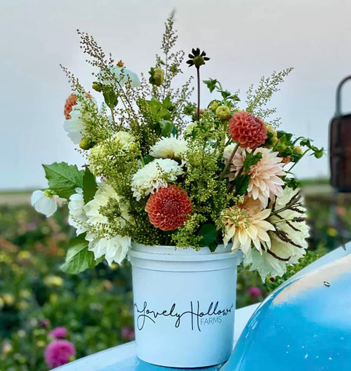 Case Study: How Lovely Hollow Turned a Simple Bucket Into a Blooming Brand