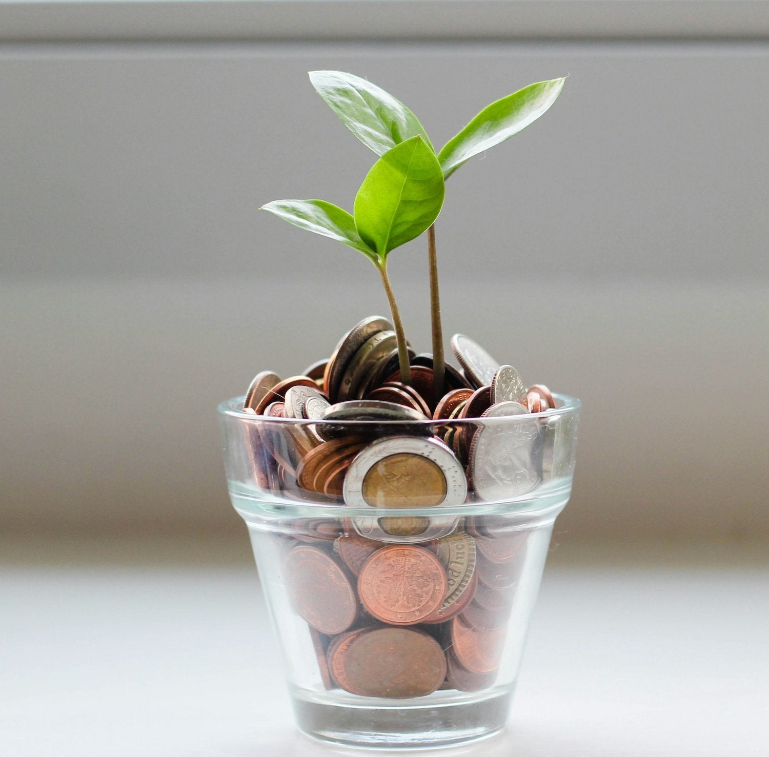 5 Costly Packaging Mistakes That Hurt Your Bottom Line
