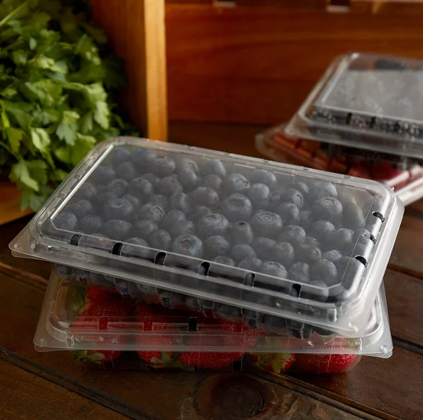 Berry & Produce Containers