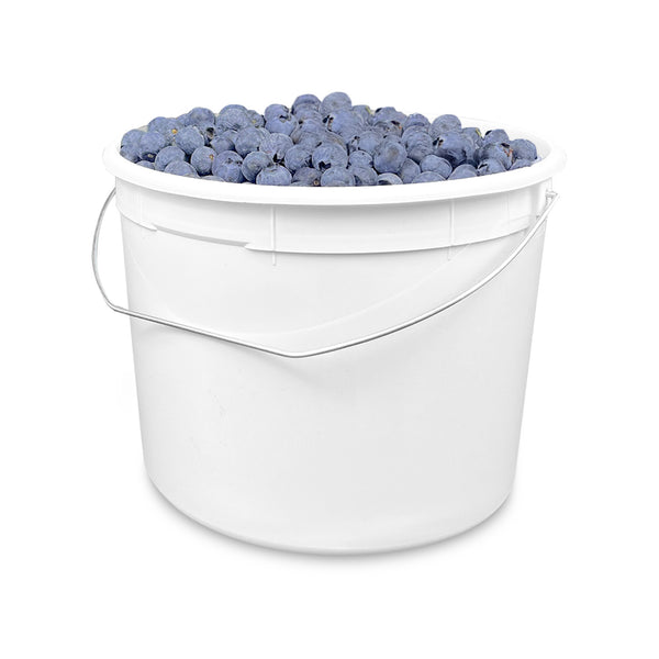 1.25 Gallon BPA-Free Food-Grade Fresh Produce Bucket with Wire Handle (T809160W) - Case of 120