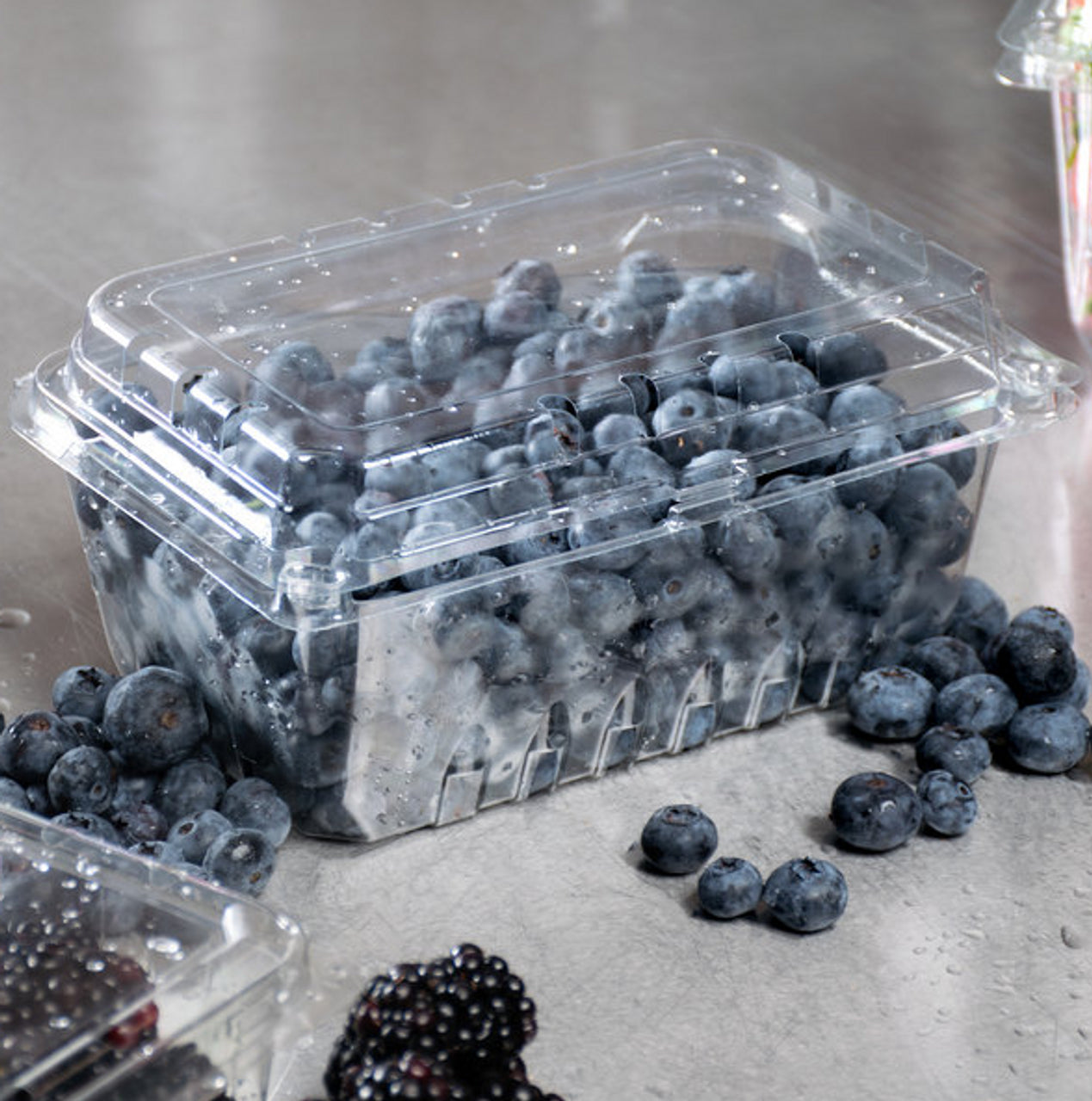 1 lb. Clear Vented Clamshell Produce / Berry Container