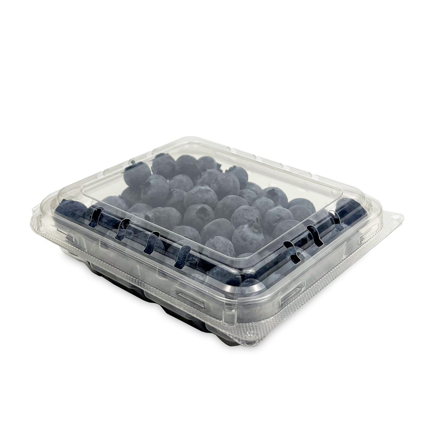 A 6 oz. Clear Vented Clamshell Produce / Berry Container (case of 552) filled with fresh blueberries, shown on a white background with the lid closed.