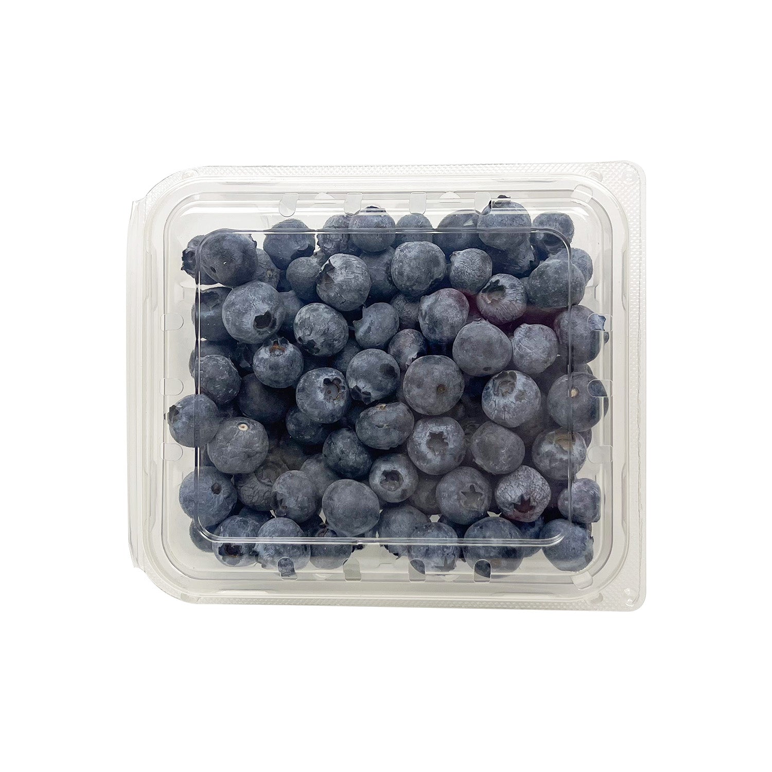 6 oz. Clear Vented Clamshell Produce / Berry Container - Case of 552