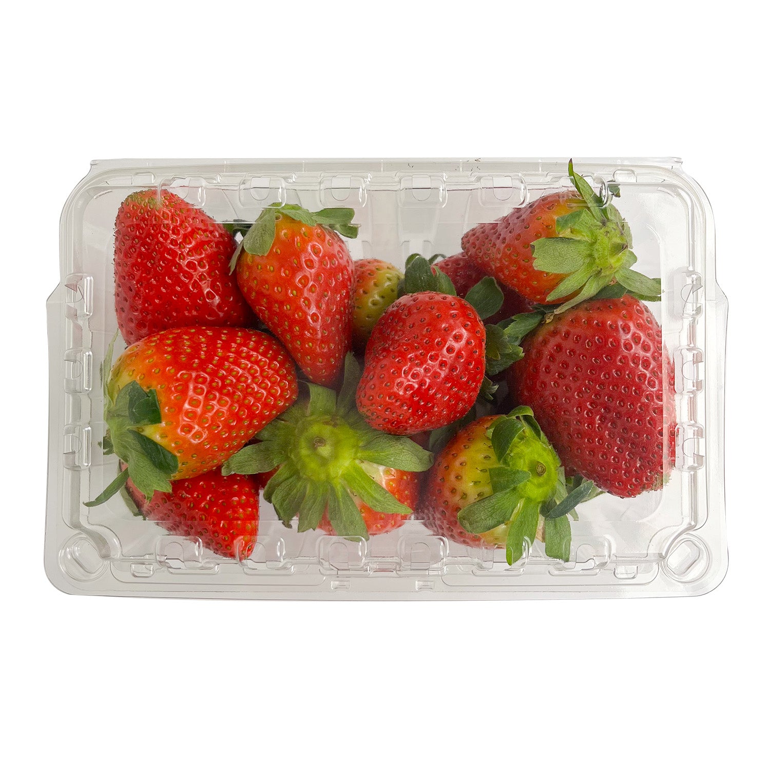 1 lb. Clear Vented Clamshell Produce / Berry Container - Case of 352