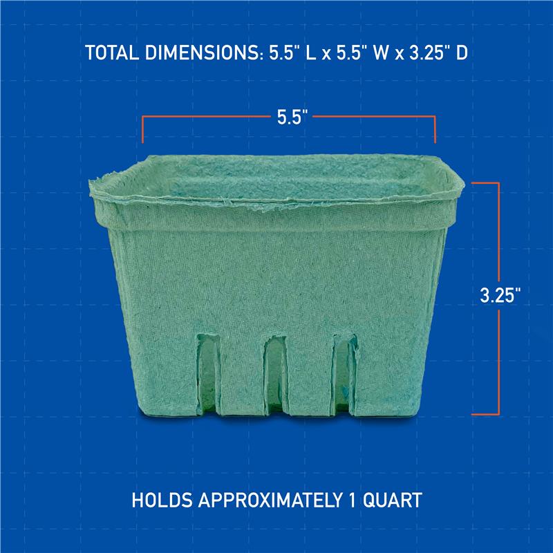 A green molded pulp berry basket labeled 1 Quart (32 oz.), measuring 5.5" L x 5.5" W x 3.25" D, available in a case of 250.