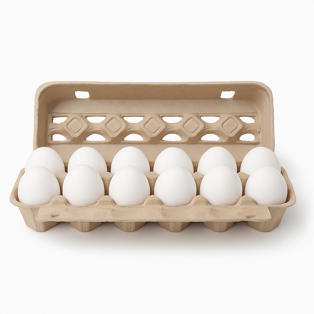 A Paper Egg Carton - 12 Eggs Open Style (case of 50) is shown with its lid open and arranged against a plain white background.