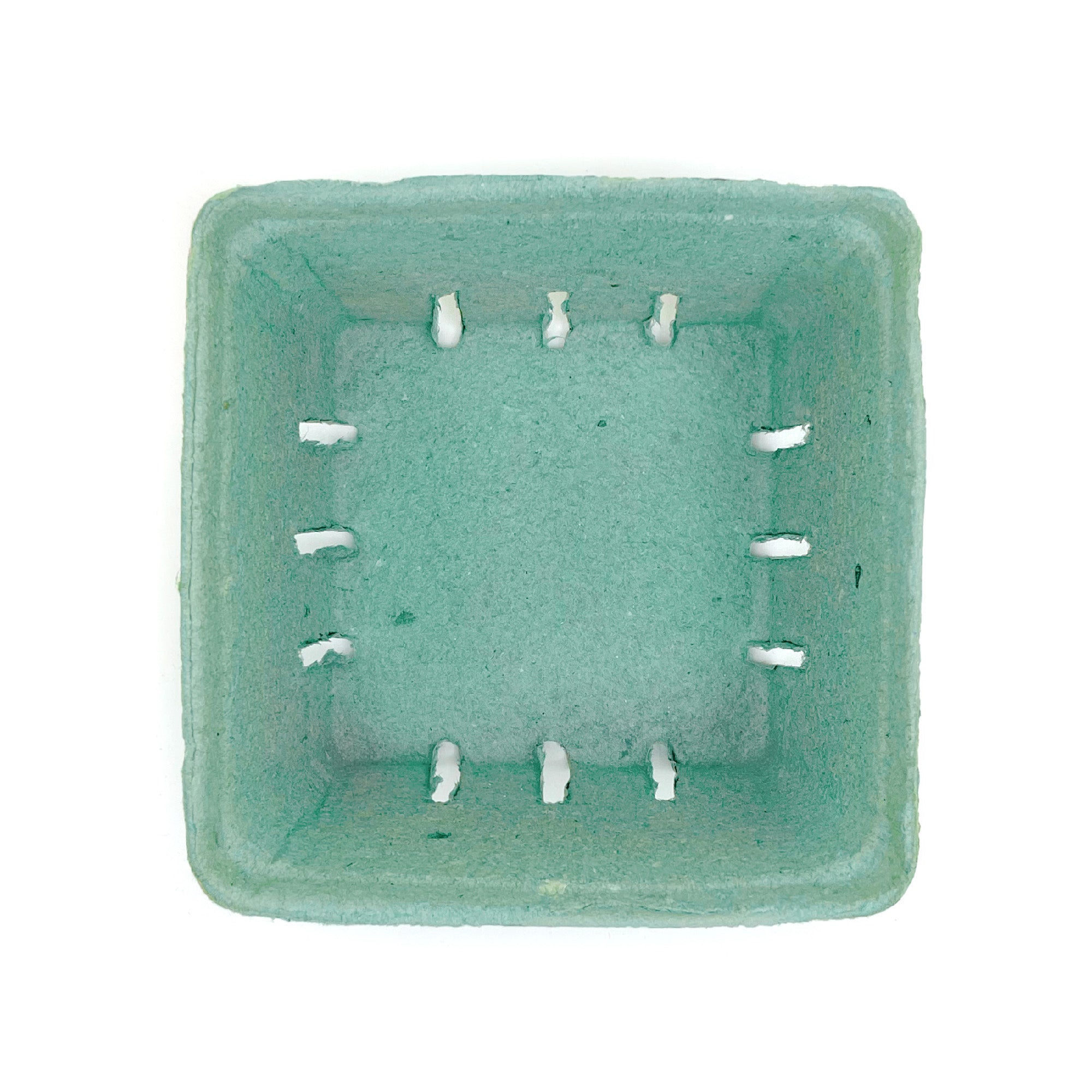 A top-down view of an empty, square 1 Quart (32 oz.) Green Molded Pulp Berry/Produce Basket with ventilation slits, sold as a case of 250.