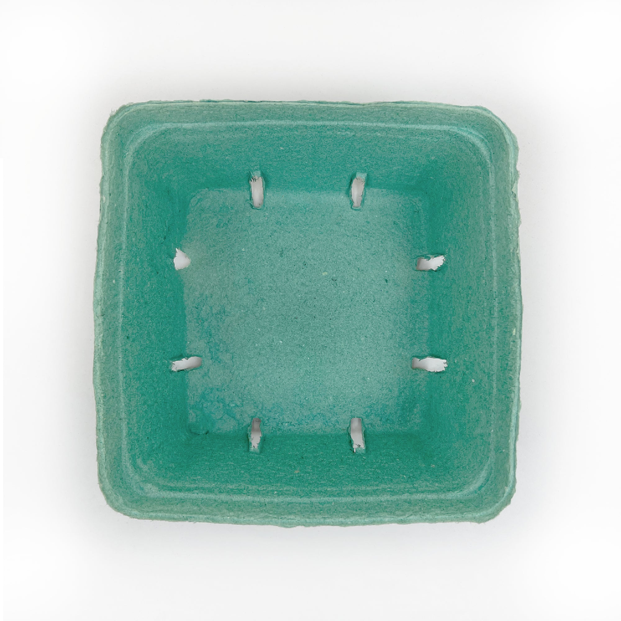 A top-down view of an empty 2.5 Quart (80 oz.) green molded pulp berry/produce basket with slotted holes on the bottom and slightly textured edges, sold as a case of 200.