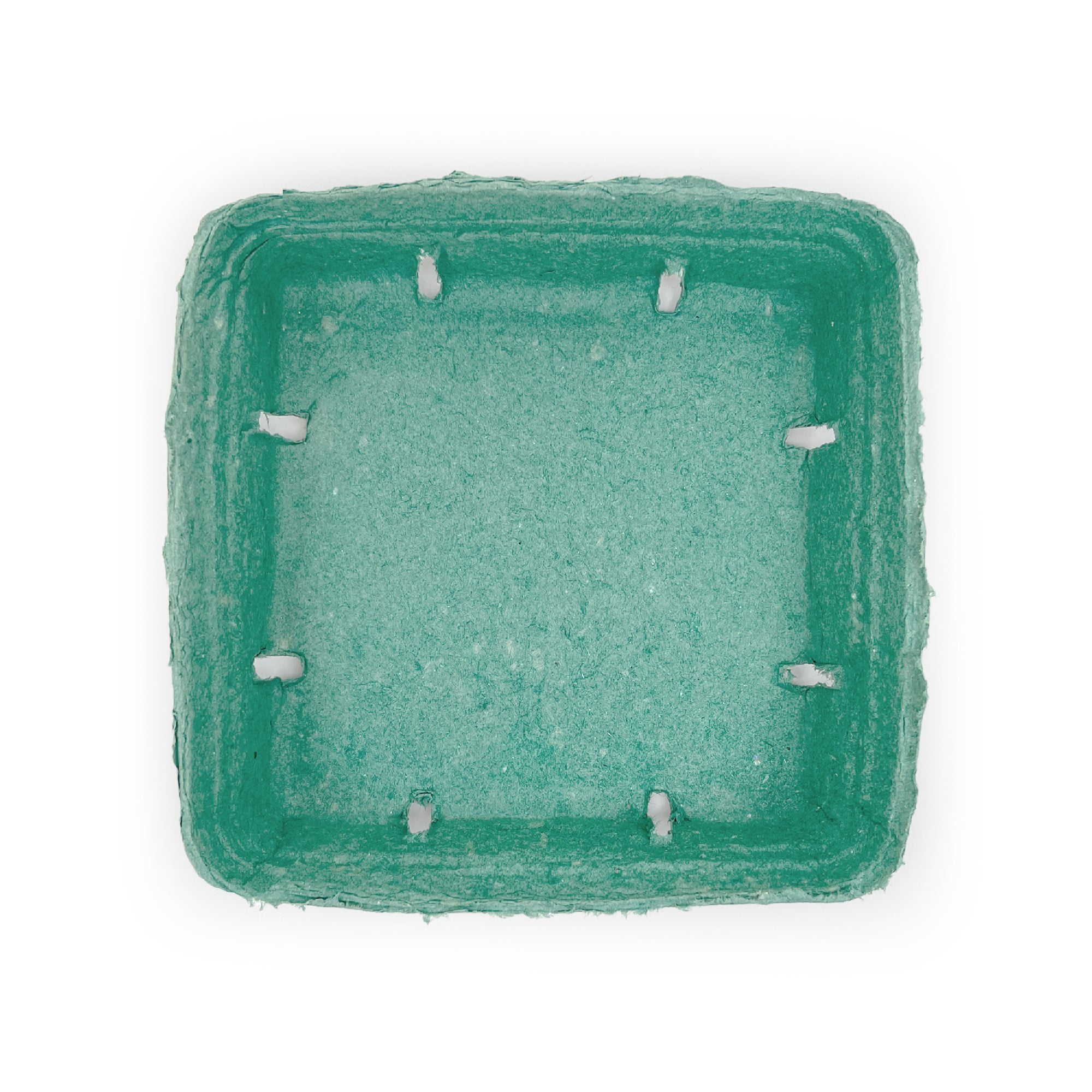 A top-down view of an empty, square, green 2 Quart (64 oz.) molded pulp berry/produce basket with side ventilation holes; ideal for holding berries or produce. Case of 200.